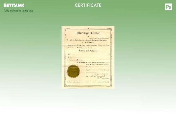 Модерен стил САД Охајо Гернзи округот шаблон сертификат за брак